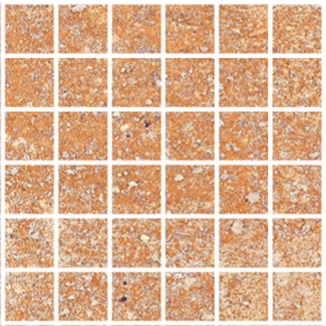 Fire Mosaico 5x5 8431940374050 - Beige, Naturale, 29.75x29.75cm, 10.00mm, Not rectified
