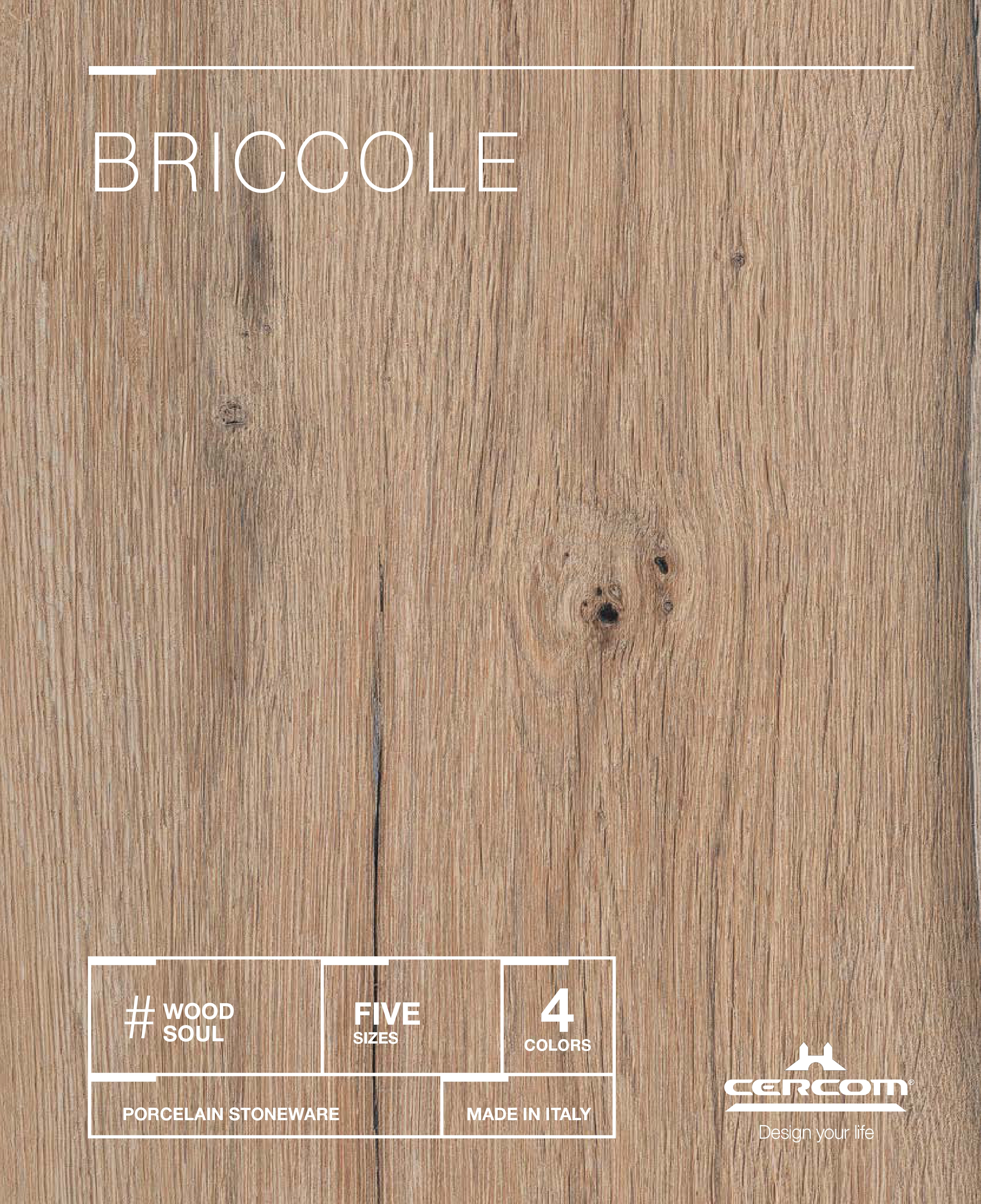 Cercom_Cat_Briccole_WEB