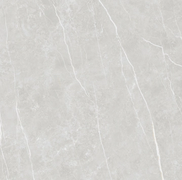 Elite 48041837981 - Silver, Pulido, 90x90cm, 10.00mm, not-rectified