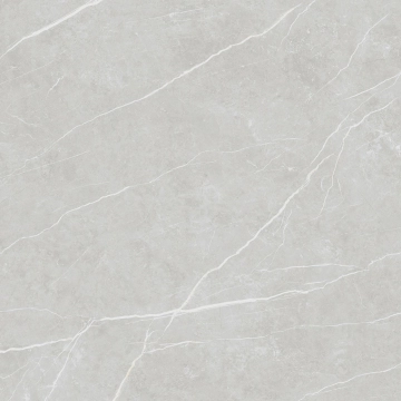 Elite 41201837981 - Silver, Pulido, 120x120cm, 10.00mm, not-rectified