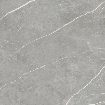Elite 48043687981 - Gray, Pulido, 90x90cm, 10.00mm, not-rectified