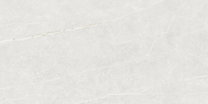 Elite 358691089213 - White, Matt, 60x120cm, 10.00mm, Rectified