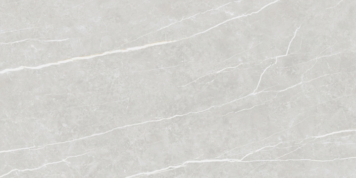 Elite 48691837981 - Silver, Pulido, 60x120cm, 10.00mm, not-rectified