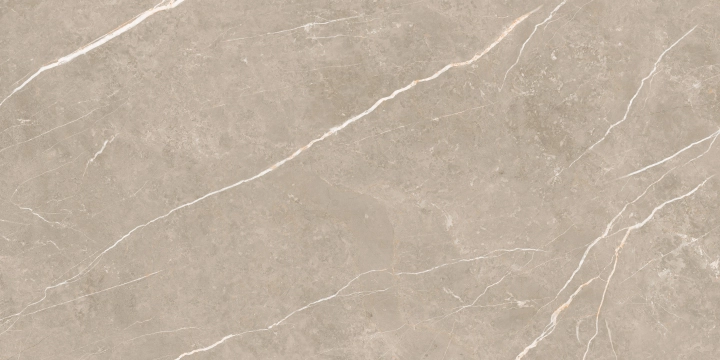 Elite 48694087981 - Greige, Pulido, 60x120cm, 10.00mm, not-rectified