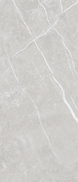 Elite 529611837981 - Silver, Matt, 120x280cm, 6.00mm, Rectified