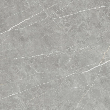 Elite 41203687981 - Gray, Pulido, 120x120cm, 10.00mm, not-rectified