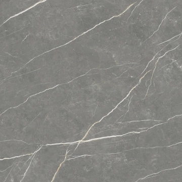 Elite 351202949213 - Graphite, Matt, 120x120cm, 10.00mm, Rectified