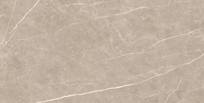 Elite 45054087981 - Greige, Pulido, 90x180cm, 10.00mm, not-rectified