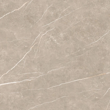 Elite 41204087981 - Greige, Pulido, 120x120cm, 10.00mm, not-rectified