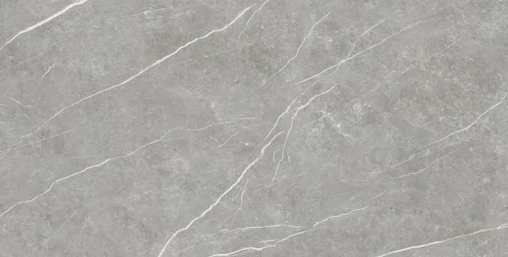 Elite 45053687981 - Gray, Pulido, 90x180cm, 10.00mm, not-rectified