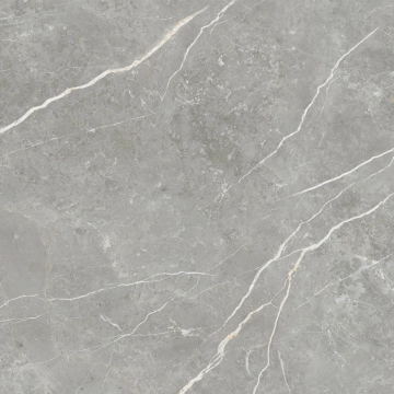 Elite 358403689213 - Gray, Matt, 60x60cm, 10.00mm, Rectified