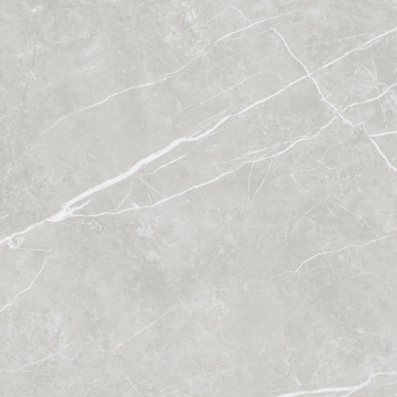 Elite 358401839213 - Silver, Matt, 60x60cm, 10.00mm, Rectified