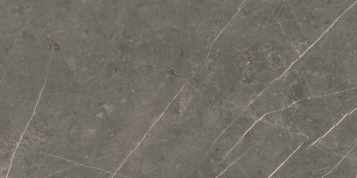 Altamura - Gray, Matt, 30x60cm, 10.00mm, Rectified