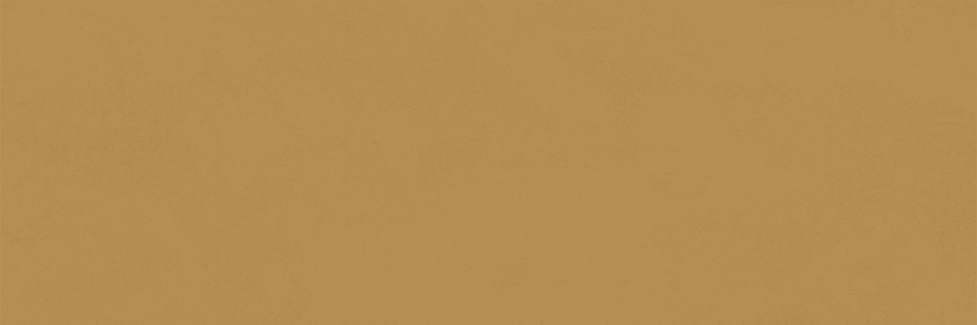 Chromatic 316270014226 - Honey, Matt, 33.3x100cm, 10.00mm, Rectified