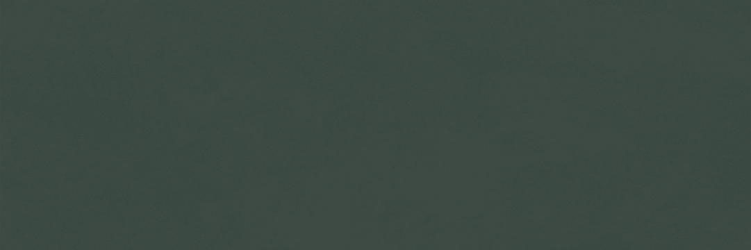 Chromatic 316270014233 - Green, Matt, 33.3x100cm, 10.00mm, Rectified