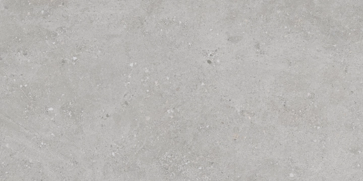 Flax CAN5FLAXDDAA - Grey, Matt, 60x120cm, 10.00mm, Rectified