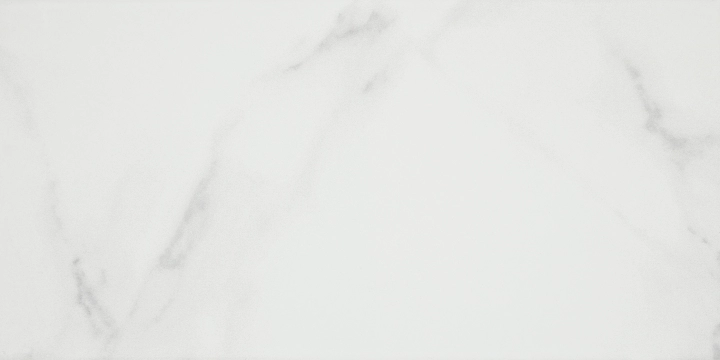 Purity AB5UPURICDAA - White, Matt, 25x50cm, 10.00mm, not-rectified
