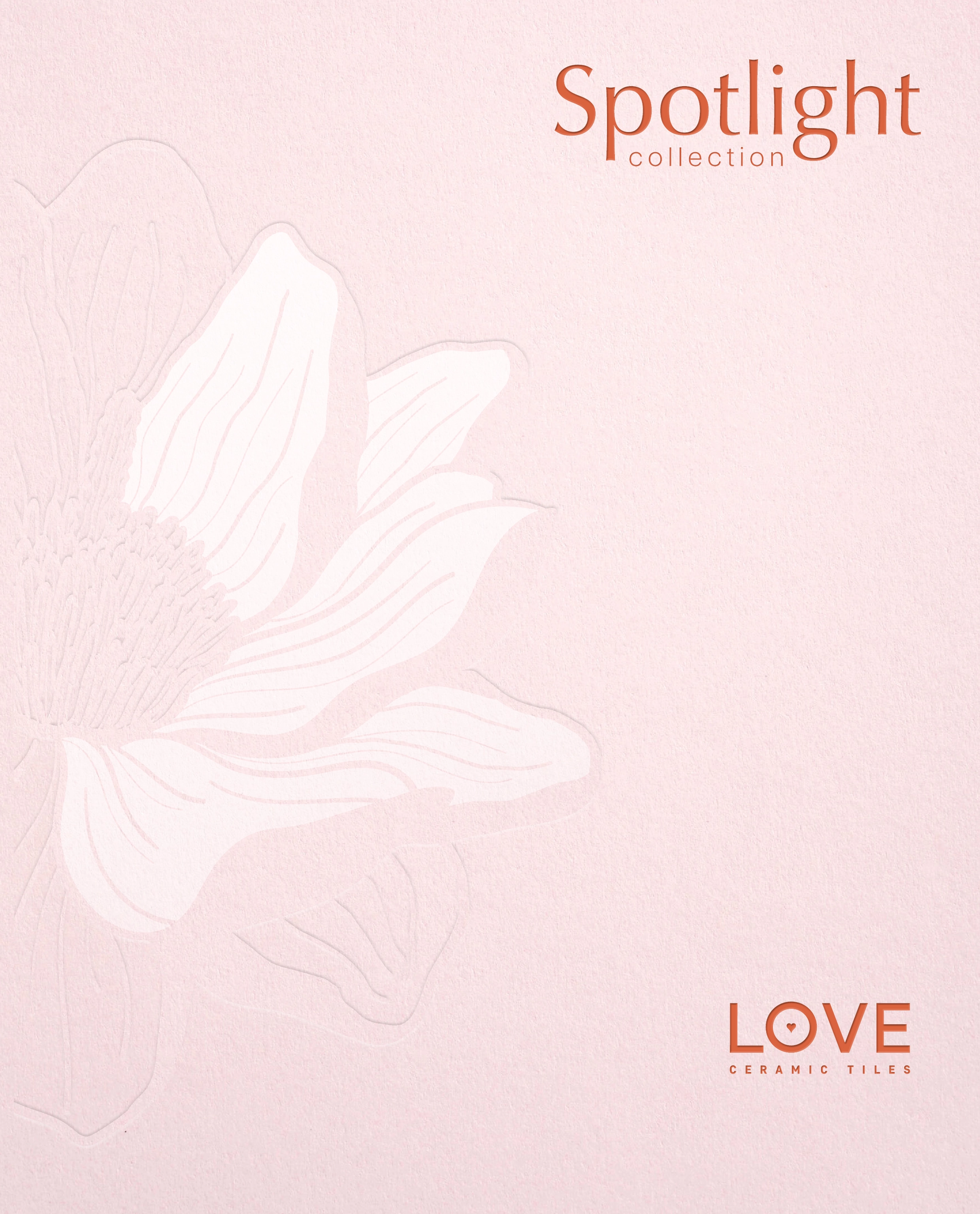 Catalogo-Spotlight-67a34e5b54b51