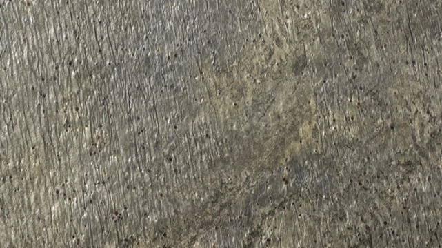 Delhi Delhi, Pulido, 40x80cm, 15.00mm, Rectified