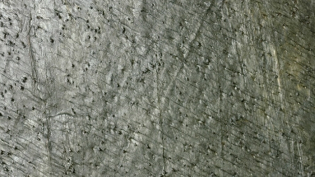 Delhi Delhi, Mate, 40x80cm, 15.00mm, Rectified