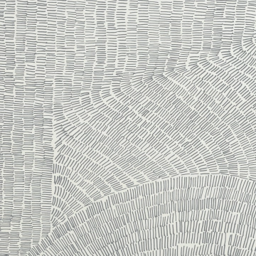 Fossil LT84 - Grey, Matt, 60x60cm, 9.00mm, Rectified
