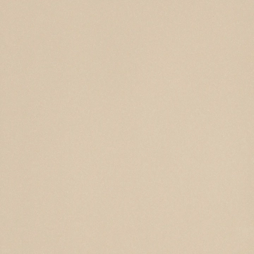 Icon ICON ALMOND 120 - Almond, Matt, 120x120cm, 10.50mm, Rectified