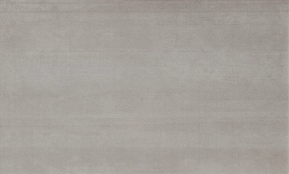 Ess. Campus - Gris, Matt, 33.3x55cm, 8.80mm, Rectified